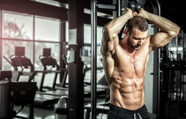 Pose, muscle, muscle, press, training, athlete, simulators, bodybuilder