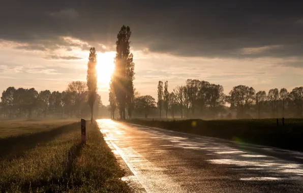 Picture road, light, morning, fog