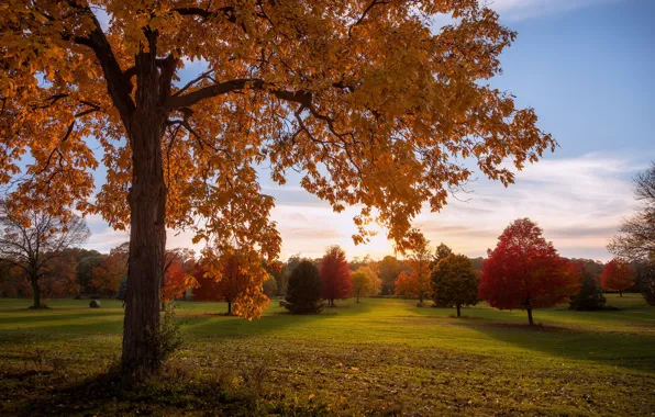 Autumn, trees, Park, Wisconsin, Wisconsin
