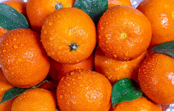 Leaves, drops, oranges, a lot