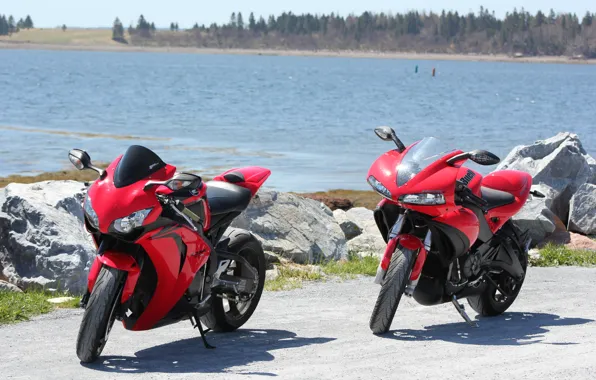 Picture red, motorcycles, red, Supersport, honda, Honda, supersport, buell