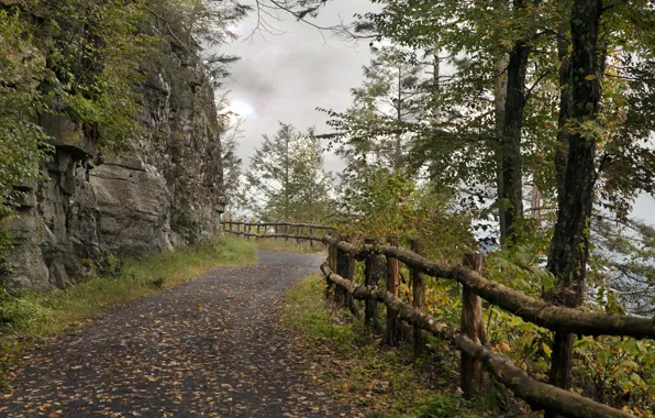 Picture road, autumn, overcast, rocks, foliage, Nature, road, autumn