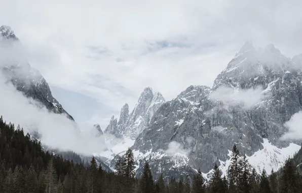 Picture winter, forest, the sky, clouds, snow, trees, mountains, nature