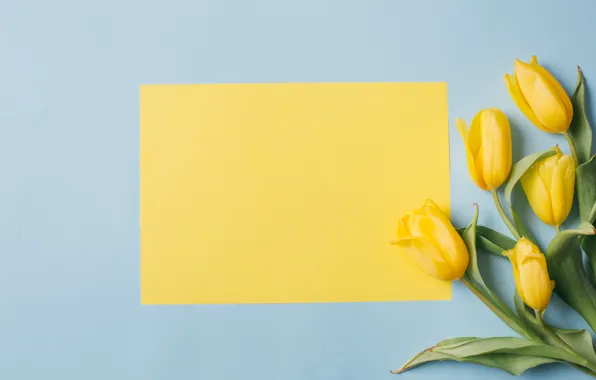 Flowers, paper, Spring, Tulips, Background, flowers, Spring, Background