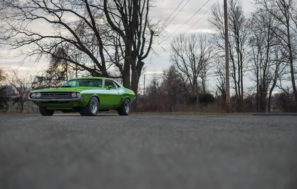 Picture Challenger, Green, 1970, Road, R/T, Trees