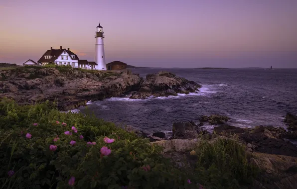 Picture lighthouse, sea, shore
