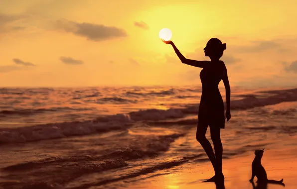 SEA, The SUN, SUNSET, SHORE, CAT, SILHOUETTES
