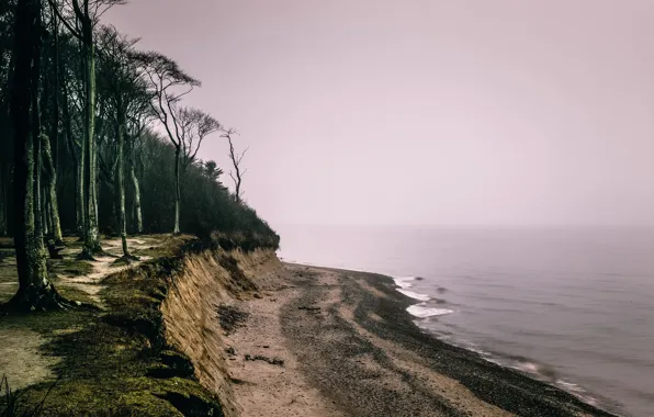 Picture sea, fog, shore