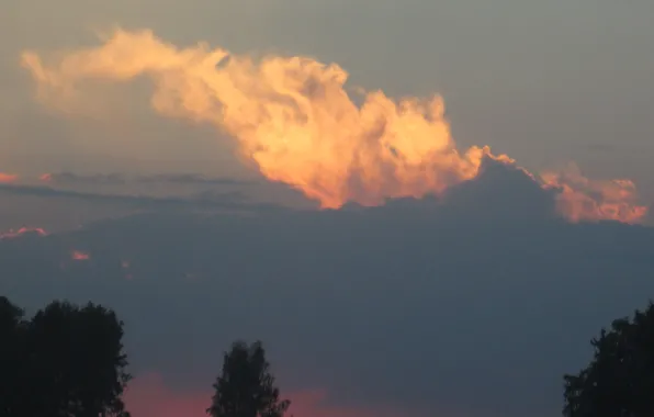 The sky, trees, sunset, the volcano