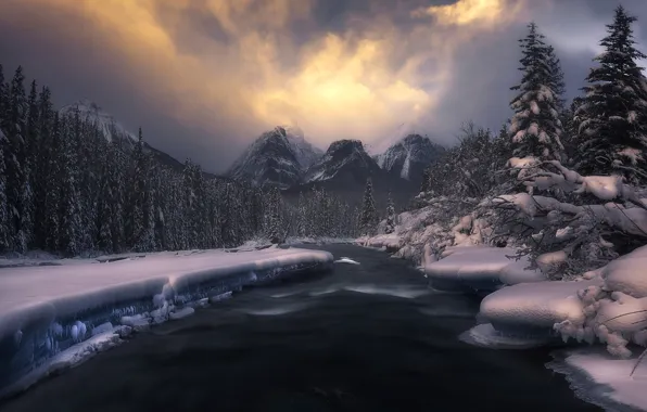 Winter, forest, snow, mountains, nature, river