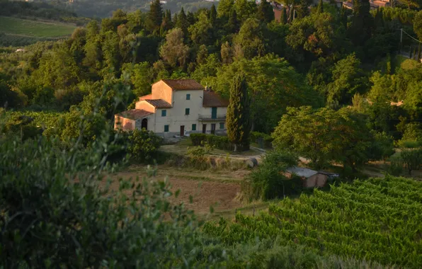 Panorama, House, Italy, Nature, Landscape, Italy, Tuscany, Italia