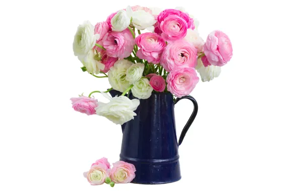 White, pink, pink flowers, flowers, beautiful, buttercups, ranunculus