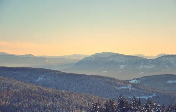 Forest, the sky, mountains, horizon