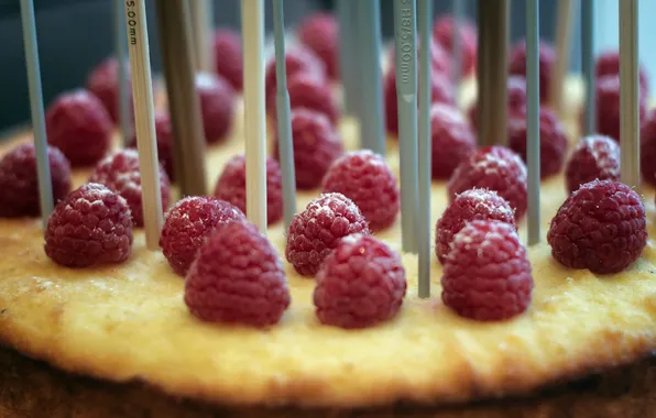 Macro, food, Raspberry Cake
