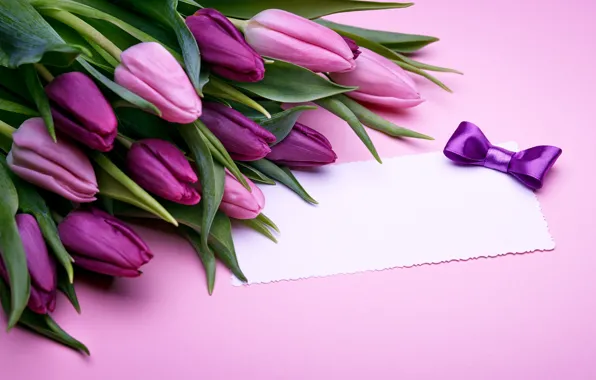 Bouquet, tulips, love, pink, bow, fresh, pink, flowers