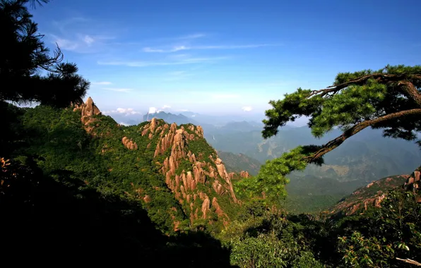 The sun, mountains, branches, rocks, panorama, gorge