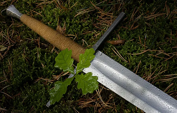 Picture drops, Rosa, weapons, steel, plant, moss, sword, skill