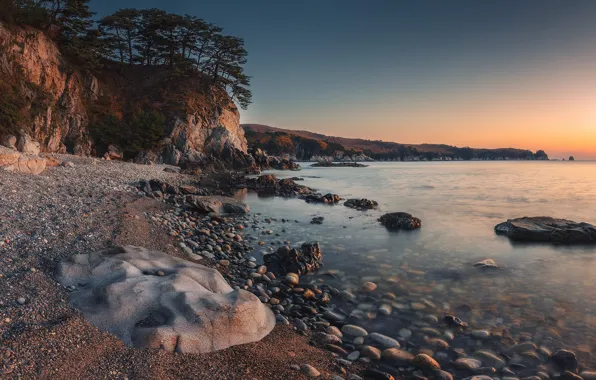 Sand, sea, trees, landscape, nature, stones, rocks, shore