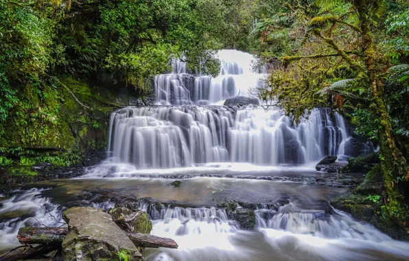 Forest, waterfall, New Zealand, cascade, New Zealand, Purakaunui Falls, Catlins