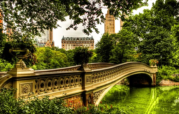 Picture FOREST, DESIGN, GREENS, ARCHITECTURE, RIVER, TREES, RIVER, BRIDGE