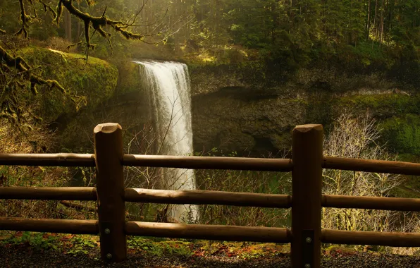 Greens, forest, the sun, trees, branches, rock, Park, waterfall