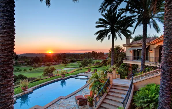 Palm trees, Villa, pool, morning, architecture, resort, terrace, dusk