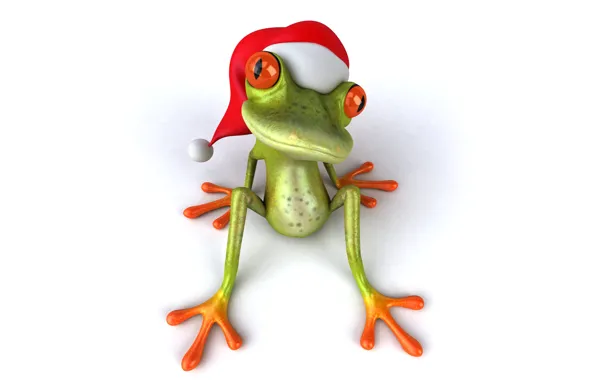 Frog, christmas, Santa, frog, funny, santa hat