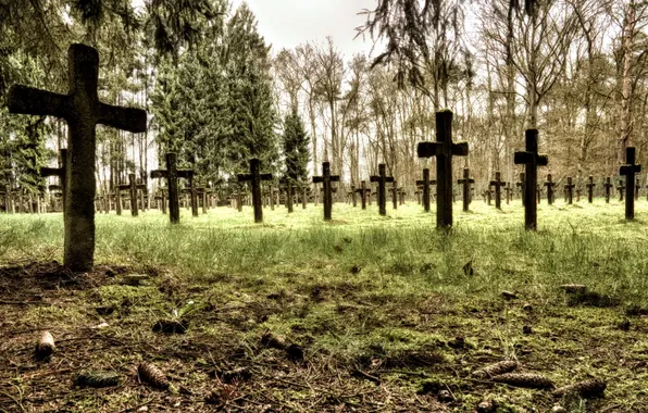 Picture background, crosses, cemetery