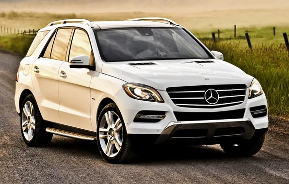 Picture road, field, white, jeep, mercedes-benz, Mercedes, the front, m-class
