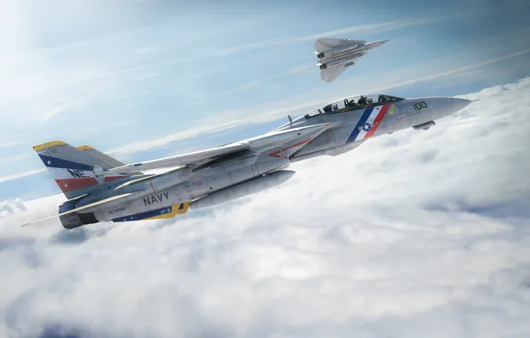 The sky, flight, the plane, fighter, f-14, tomcat