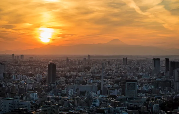 Picture dawn, home, skyscrapers, panorama, Tokyo, megapolis
