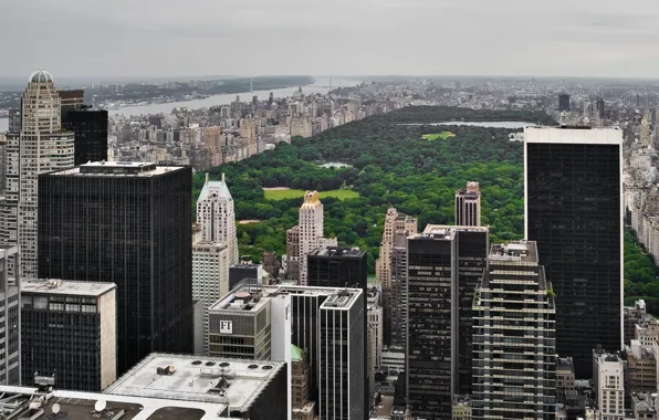 USA, grass, skyline, trees, New York, Manhattan, NYC, park
