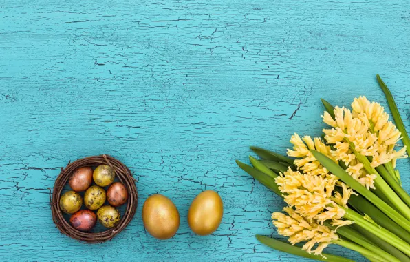 Eggs, spring, Easter, socket, hyacinths