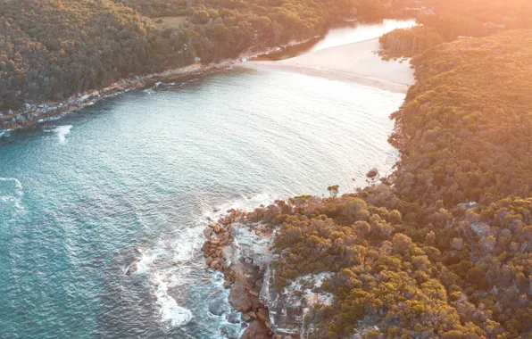 Sand, wave, greens, forest, river, stones, thickets, shore