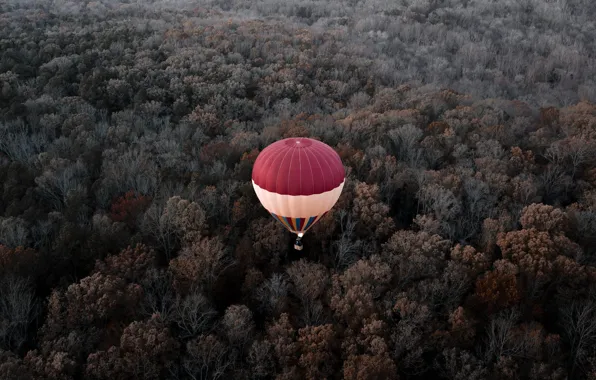 Picture autumn, forest, flight, balloon, height, VA, USA, America
