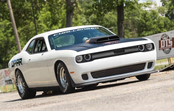 Picture Dodge, Mopar, Drag Pak, 2015, Challenger