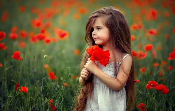 Field, summer, flowers, face, Maki, child, girl, red