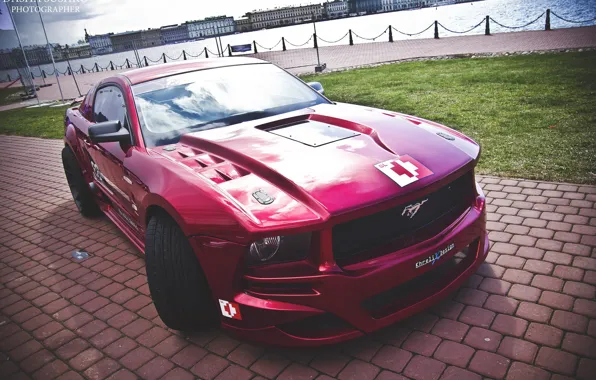 Picture Mustang, Ford