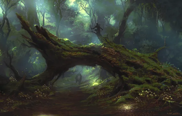 Cat, Forest, Panther, Art, Art, Hunter, Hunter, Cat