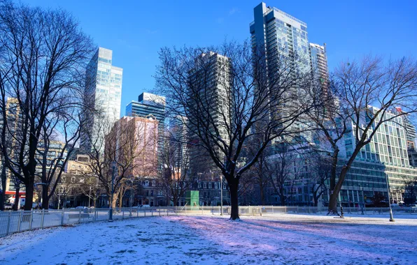 Winter, the sky, the sun, snow, trees, blue, home, Canada
