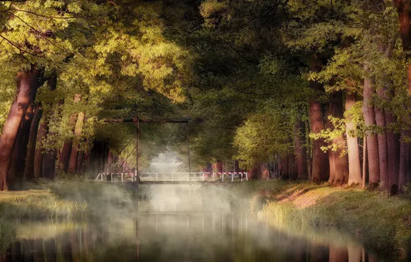 Autumn, nature, Park