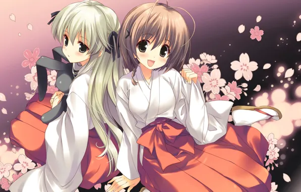 Flowers, petals, rabbit, art, friend, kasugano sora, yosuga no sora, priestess