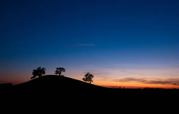 Picture the sky, trees, sunset, silhouette, hill