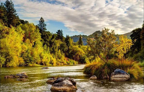 Autumn, clouds, trees, river, stones, CA, USA, the bushes