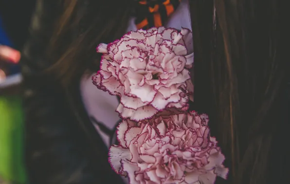 Holiday, Flowers, victory day, May 9, clove