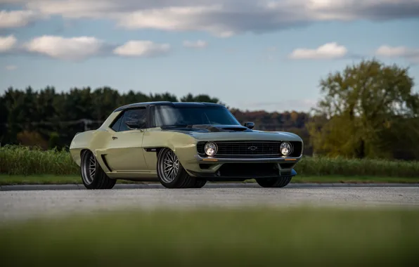 Tree, Road, Grass, Chevrolet, 1969, Camaro, Chevrolet Camaro, Muscle car