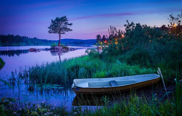 Picture the sky, grass, trees, lights, blue, thickets, shore, boat
