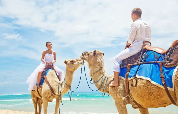 Sea, beach, beach, sea, camels, a couple in love, camel, couple in love