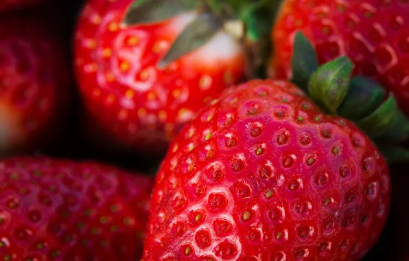 Picture macro, berries, food, strawberry, seeds, Wallpaper from lolita777