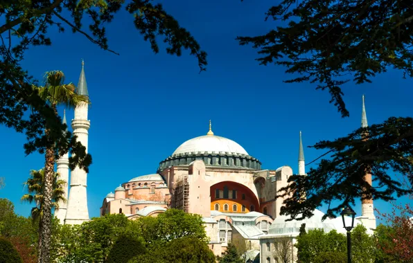 The sun, trees, branches, Palma, tower, temple, Istanbul, Turkey